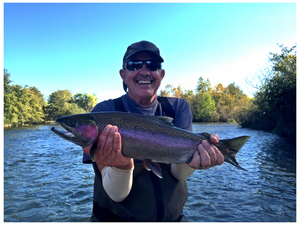 Steelhead — Neil Robertson